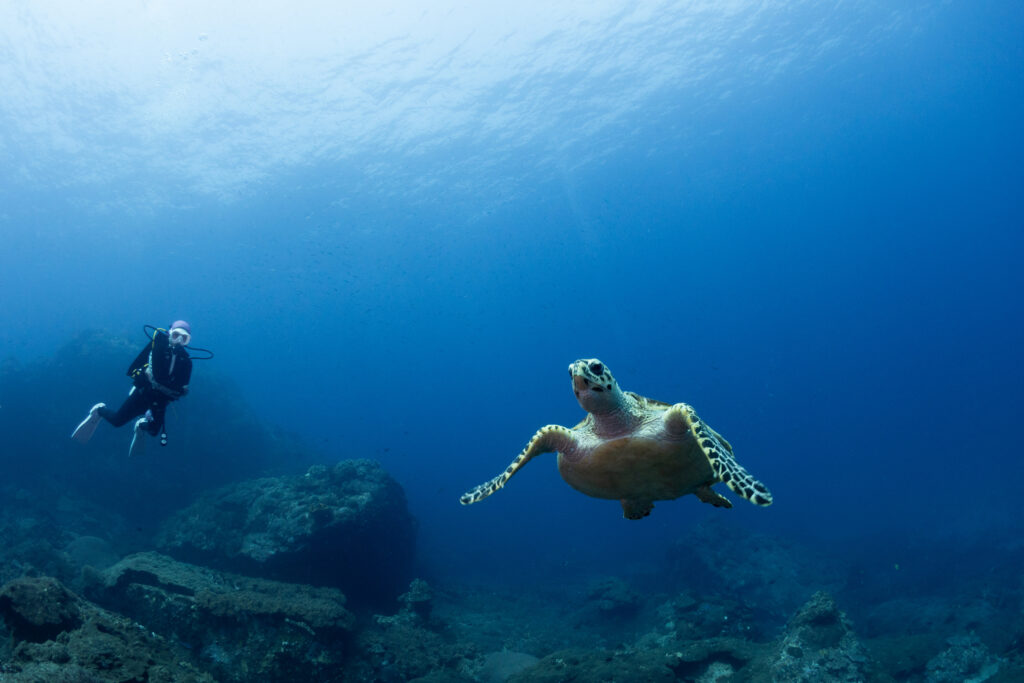 East Coast Malaysia destinations
