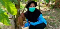 Women-led cacao initiative Indonesia